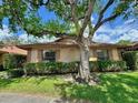 Beautiful one-story home with a large shade tree, offering curb appeal and character at 318 Douglas Way # 87, Winter Garden, FL 34787
