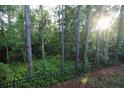 Scenic view of wooded backyard with lush greenery and a black metal fence at 8487 Crystal Cove Loop, Kissimmee, FL 34747