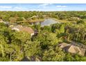 Aerial view showcasing the home's proximity to a lake and surrounded by mature trees at 8800 Torey Pines Ter, Orlando, FL 32819