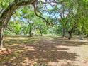 Expansive backyard with mature trees, offering shade and privacy at 1406 Cr 542G, Bushnell, FL 33513