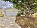 Inviting single-story home with a large tree in the front yard and a white two-car garage at 307 Santa Clara Cir, Lady Lake, FL 32159