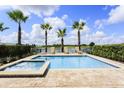 Beautiful backyard pool with lounge chairs surrounded by tropical palm trees at 834 Golden Bear Dr, Reunion, FL 34747