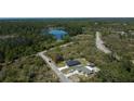 Expansive aerial shot showcasing the property's serene surroundings with lush trees and a picturesque lake nearby at 160 Fisher Way Trl, Ocklawaha, FL 32179