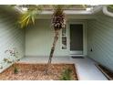 Cozy front porch featuring a palm tree accent, offering a welcoming entrance to the home at 735 Oak Ter, Orange City, FL 32763