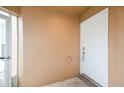A close view of the light tan colored entryway and bright white front door at 1413 Timberbend Cir, Orlando, FL 32824