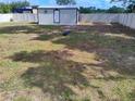 Large fenced backyard featuring a utility shed and ample space for outdoor activities at 509 Dorothy Cir, Eustis, FL 32726