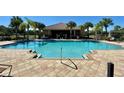 Enjoy the community pool surrounded by lounge chairs and palm trees at 191 Chickasaw Berry Rd, Ocoee, FL 34761