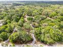 An aerial view of the property surrounded by lush trees and a long driveway to the home at 145 Baywood Dr, Oak Hill, FL 32759