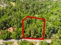 Aerial view of wooded lot with a red boundary line; lush, green foliage abounds in this secluded, quiet property at 102 Wild Plum Ln, Longwood, FL 32779