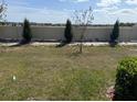 Fenced backyard with young trees lining the perimeter providing additional privacy at 2232 Tay Wes Dr, St Cloud, FL 34771