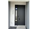 Modern black front door with contemporary hardware and house number at 3432 Tranquil Trl, Kissimmee, FL 34747