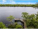 An aerial view of a private wooden dock with access to a beautiful lake surrounded by lush greenery and tall trees at 889 Kensington Gardens Ct, Oviedo, FL 32765