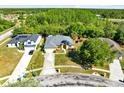 Aerial view of a single-Gathering home with backyard backing up to a lush green forest at 19319 Briercrest Trl, Orlando, FL 32833