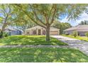 Inviting home with mature trees, landscaped lawn, and an extended driveway leading to an attached garage at 572 Lanarkshire Pl, Apopka, FL 32712
