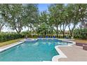 Backyard swimming pool with jacuzzi, surrounded by lush landscaping, and a black iron fence at 6037 Caymus Loop, Windermere, FL 34786