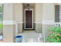 Close-up view of the elegant front door, showcasing the inviting entryway and architectural details at 14738 Porter Rd, Winter Garden, FL 34787