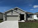 Charming single-story home featuring a two-car garage, well-manicured lawn, and neutral exterior paint at 34071 Sky Blossom Cir, Leesburg, FL 34788
