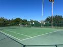 View of community tennis courts surrounded by trees at 578 Darkwood Ave, Ocoee, FL 34761