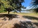 Lush backyard with mature tree overlooking water at 240 Slade Dr, Longwood, FL 32750