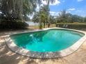 Beautiful in-ground pool reflecting lush surroundings, offering a serene backyard oasis for relaxation at 240 Slade Dr, Longwood, FL 32750