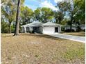 Well-maintained single-story home with a spacious driveway and mature trees at 19430 Sw 100Th Loop, Dunnellon, FL 34432