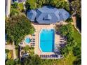 Aerial view of a community pool, spa, lounge chairs, and well maintained landscaping and greenery at 4244 Sun Village Ct # 160, New Smyrna Beach, FL 32169