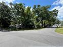 Overgrown property featuring lush, mature trees and vegetation offers privacy and a natural setting at 2520 Raehn St, Orlando, FL 32806