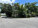 Overgrown property featuring lush, mature trees and vegetation offers privacy and a natural setting at 2520 Raehn St, Orlando, FL 32806