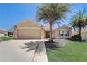 Charming single-story home with a well-manicured lawn and mature palm trees at 12711 Se 97Th Terrace Rd, Summerfield, FL 34491