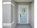 Close-up of the front door of a home, showcasing its light blue color, paneled design, and white trim at 1963 Thompson Preserve Blvd, Bartow, FL 33830