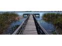 Scenic view of a wooden dock extending into a serene lake surrounded by lush greenery at 3679 Julius Estates Blvd, Winter Haven, FL 33881