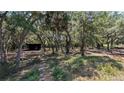 Heavily wooded lot with a small covered structure in the background at 1275 Arapaho Trl, Geneva, FL 32732