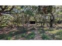 Heavily wooded lot with a small covered structure and a pile of debris at 1275 Arapaho Trl, Geneva, FL 32732