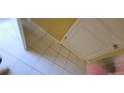 A close-up shot of a ceiling in need of repair at 129 Valentino Ct, Davenport, FL 33837