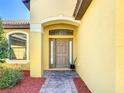 Beautiful front entrance featuring a modern door, transom window, and decorative landscaping at 3908 Coastal Breeze Dr, Kissimmee, FL 34744