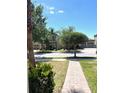 Neighborhood street view, showcasing the well-maintained surroundings and community ambiance at 7675 Fordson Ln, Windermere, FL 34786