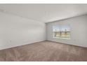 Cozy bedroom with neutral carpet, a window with a view, and ample natural light at 3823 Pronghorn Dr, St Cloud, FL 34772