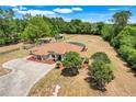 Aerial shot of property with circular driveway and a large manicured lawn at 32510 Wolf Branch Ln, Sorrento, FL 32776
