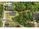 An aerial view of a home with mature landscaping and a spacious yard next to a lake at 16500 Magnolia Terrace Blvd, Montverde, FL 34756