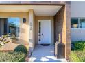 Inviting front entrance with modern door and manicured landscaping at 7672 Amazonas St, Kissimmee, FL 34747