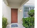 Close up of the home's front door with a modern entry light and tasteful landscaping at 12977 Borland St, Windermere, FL 34786