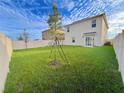 Expansive backyard with lush green grass, new trees, and a white vinyl fence at 1800 Post Oak Dr, Davenport, FL 33837