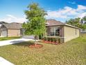 Eye-level shot of a home featuring manicured front yard, a young tree, and a visible window at 2636 Grand Central Ave, Tavares, FL 32778