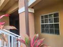 Exterior view of the condo building with a window and a decorative plant in the foreground at 14001 Fairway Island Dr # 513, Orlando, FL 32837