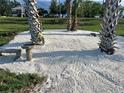 Unique landscaping featuring palm trees and crushed shells offering a tranquil outdoor space at 1002 Lake Elbert Se Dr, Winter Haven, FL 33880