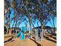 Community playground with a fun slide and climbing structure, shaded by mature trees for a safe and enjoyable experience at 4066 Serene Water Ave, Eustis, FL 32736