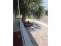 A charming front yard with a beautiful brick driveway and a palm tree at 138 Maple Dr, Debary, FL 32713