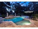 Inviting private pool with screened enclosure, water feature, and relaxing outdoor space at 1716 Greystone Ct, Longwood, FL 32779