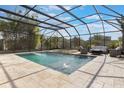 Large screened-in pool with a spa and lounging area, surrounded by lush landscaping at 1909 Donahue Dr, Ocoee, FL 34761