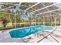 Relaxing screened-in pool with views of lush greenery and a tranquil lake at 10166 Hidden Dunes Ln, Orlando, FL 32832